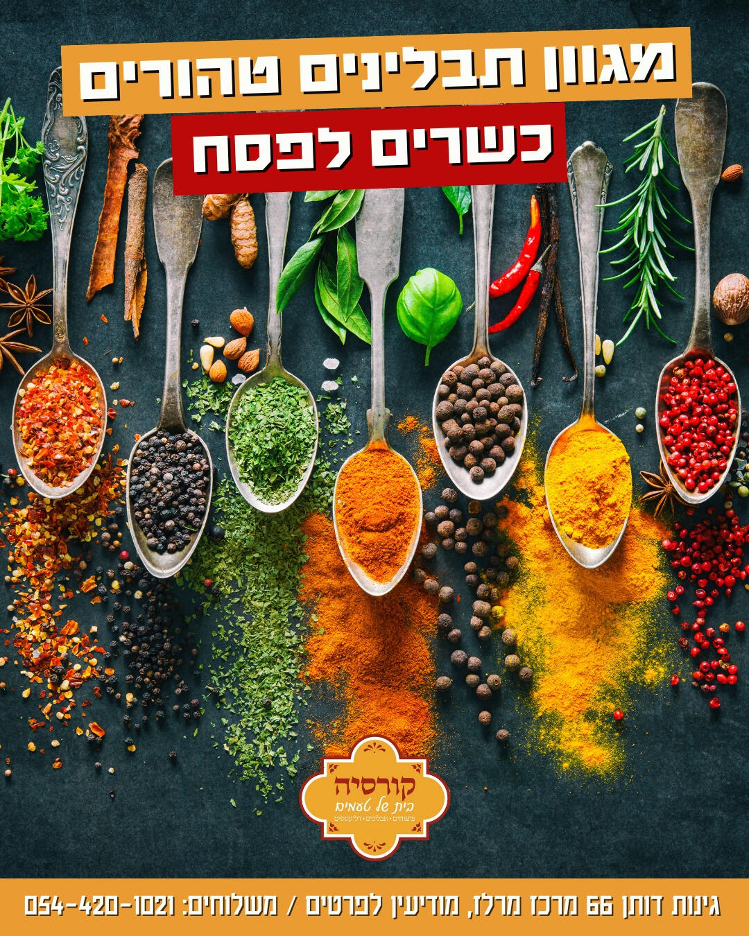 קורסיה - בית של טעמים